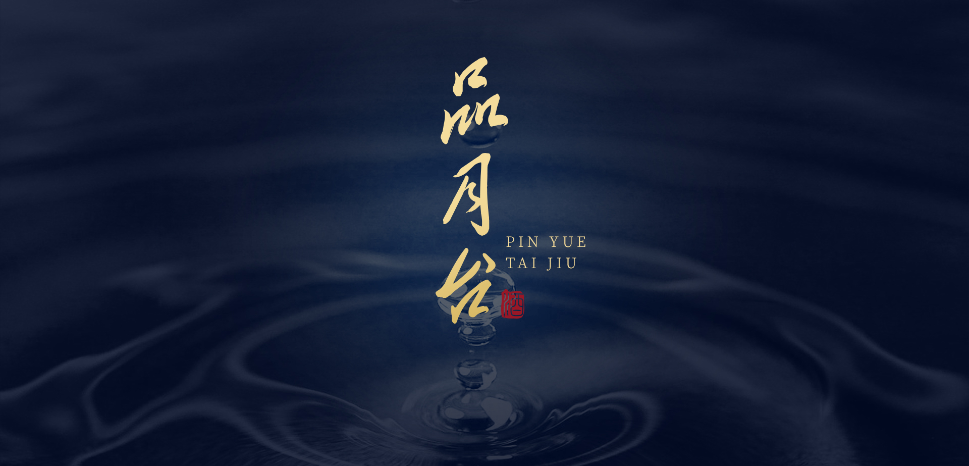 公司简介